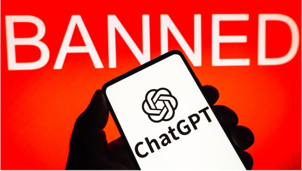ChatGPT bị chặn ở Việt Nam: Cách vượt qua và tận dụng công cụ ngôn ngữ AI - ảnh 2